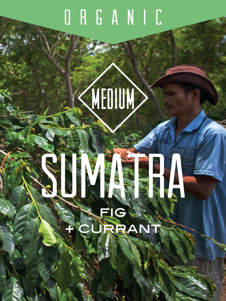 Organic Sumatra Bener Meriah Mandiri Coffee