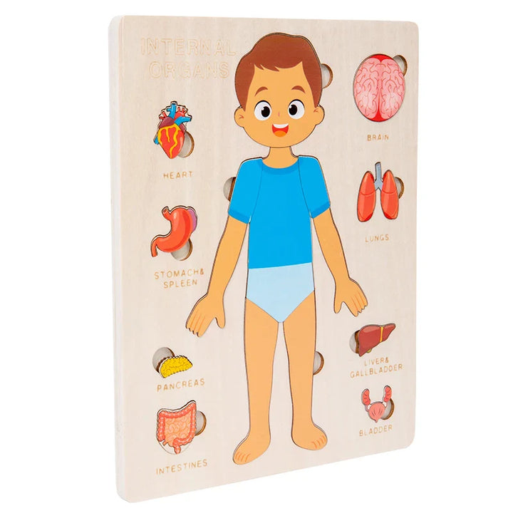 Educational children's puzzle with labeled body parts on a beige background.