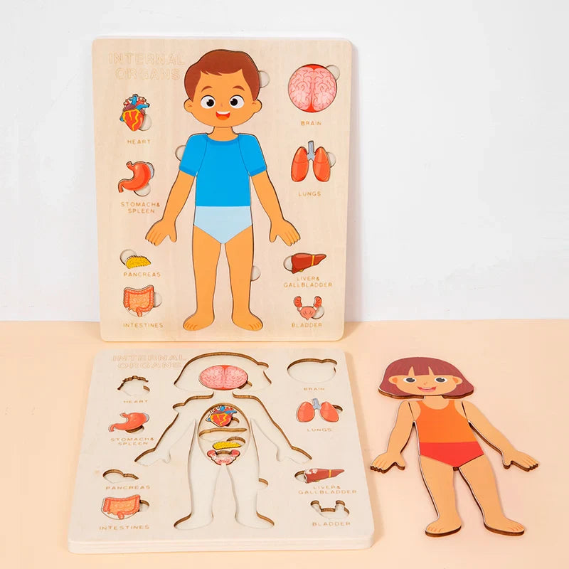 Wooden anatomy puzzle for children with labeled parts on a beige background.