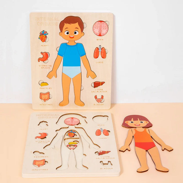 Wooden anatomy puzzle for children with labeled parts on a beige background.