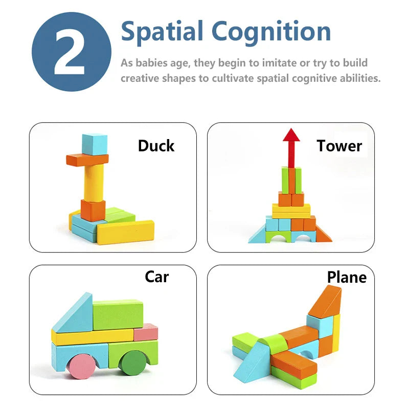 Educational diagram showing how babies build shapes to cultivate spatial cognitive abilities using colorful building blocks.