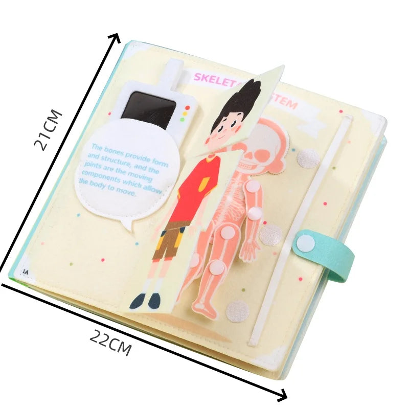 Children's educational book with cartoon skeleton illustration and measurements on a white background.