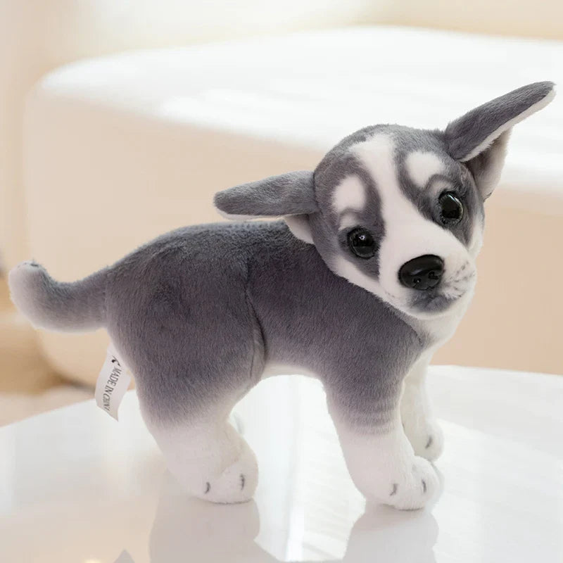 Plush Puppy Dog Dolls