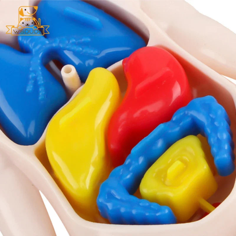 Colorful plastic puzzle toy with blue, red, yellow, and blue pieces in a white container.