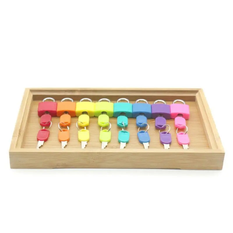 Locks and Keys Set – Educational Sensory Toy for Preschool Learning