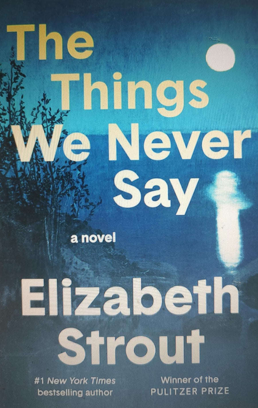 The Things We Never Say Book