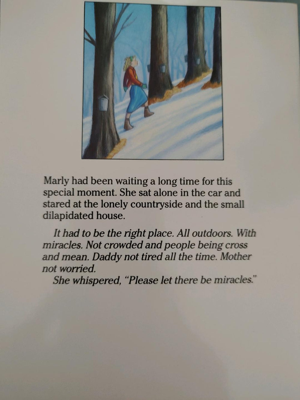 Miracles on Maple Hill Book Back Cover