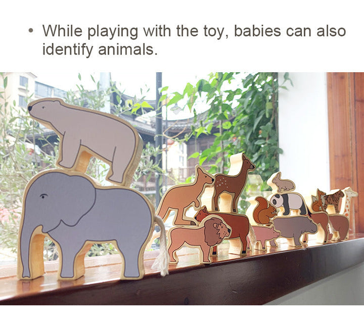 Animal Balance Building Blocks