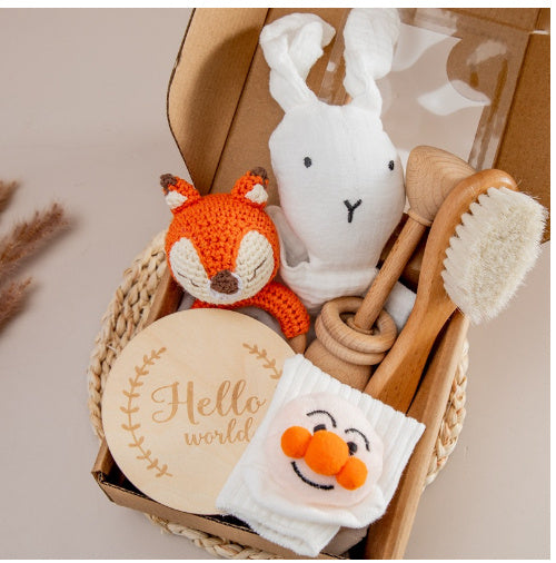 Baby Teething Toy Gift Set – Soothing Teether and Sensory Development Kit