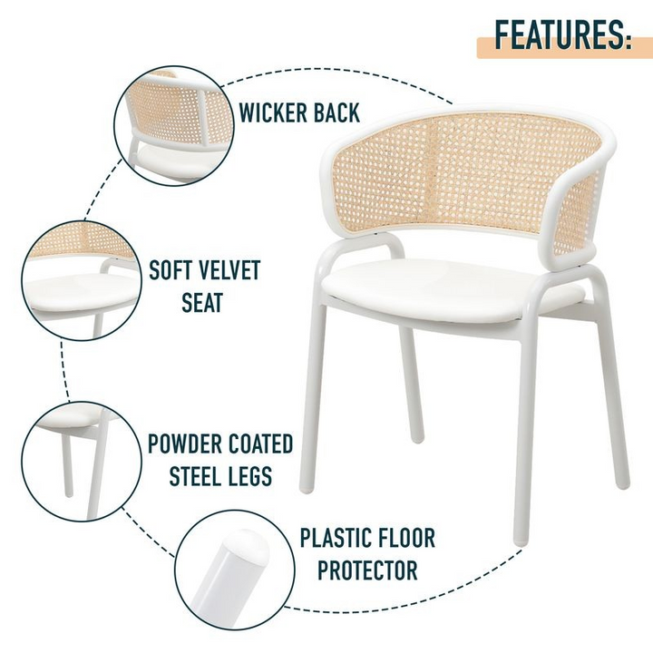 Chair with features highlighted on a white background.