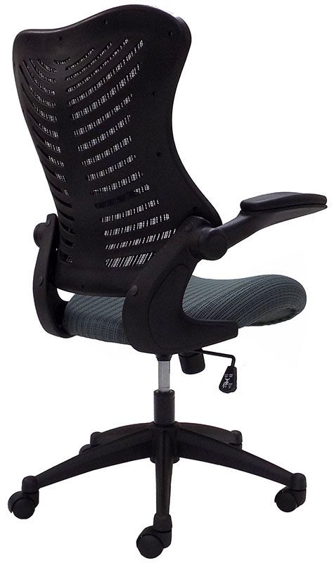 CurvForm Ergonomic Mesh Chair w/Flip Up Arms Back View