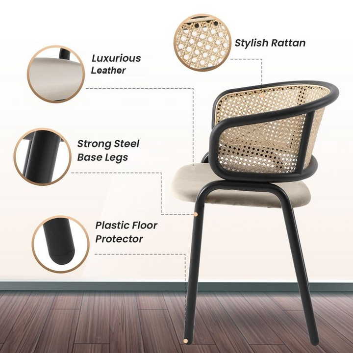 Chair with features highlighted on a white background.