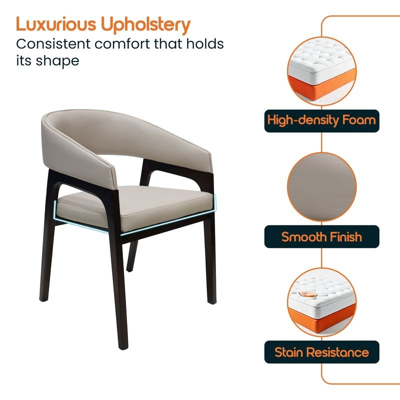 Chair with luxurious upholstery features highlighted on a white background.