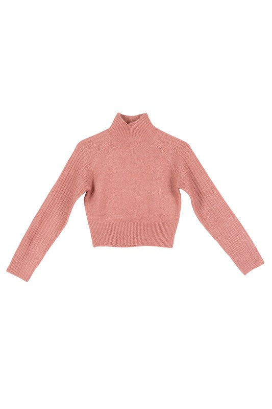 Crop Mock Neck Sweater