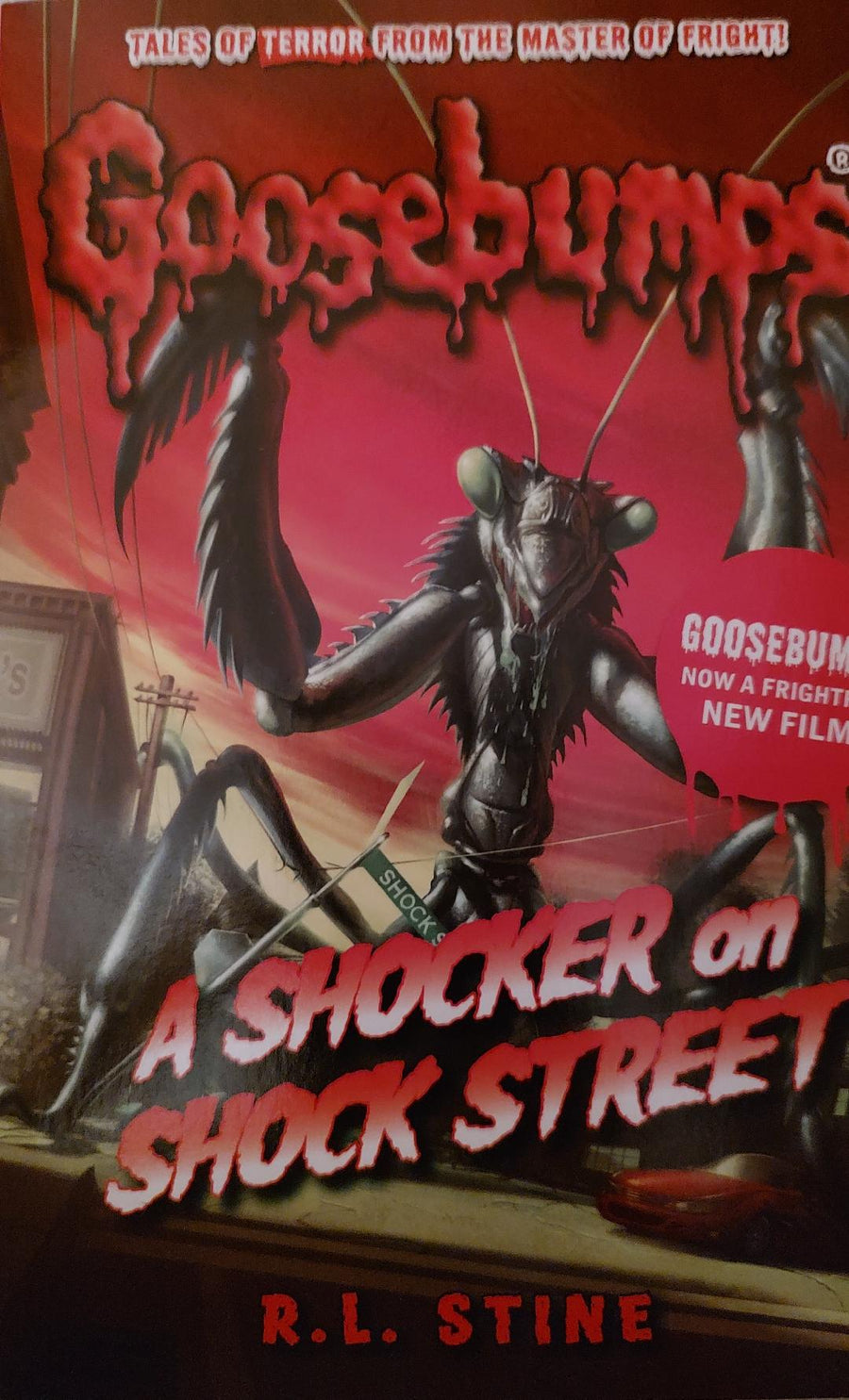 Goosebumps A Shocker on Shock Street Book Cover