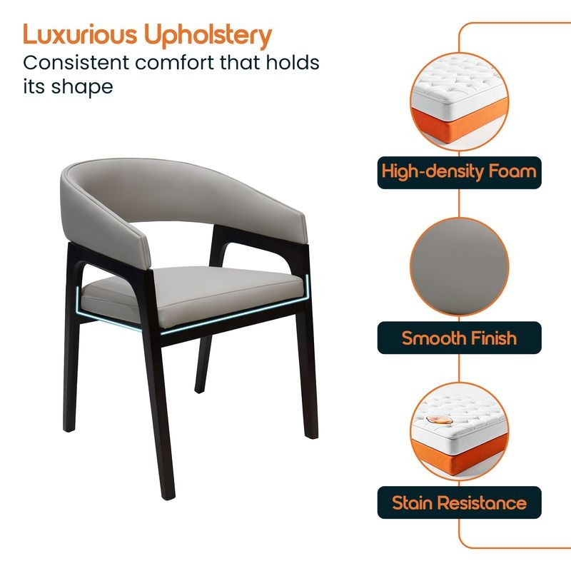 Chair with luxurious upholstery features highlighted on a white background.