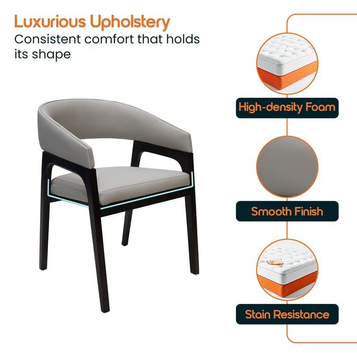 Chair with luxurious upholstery features highlighted on a white background.