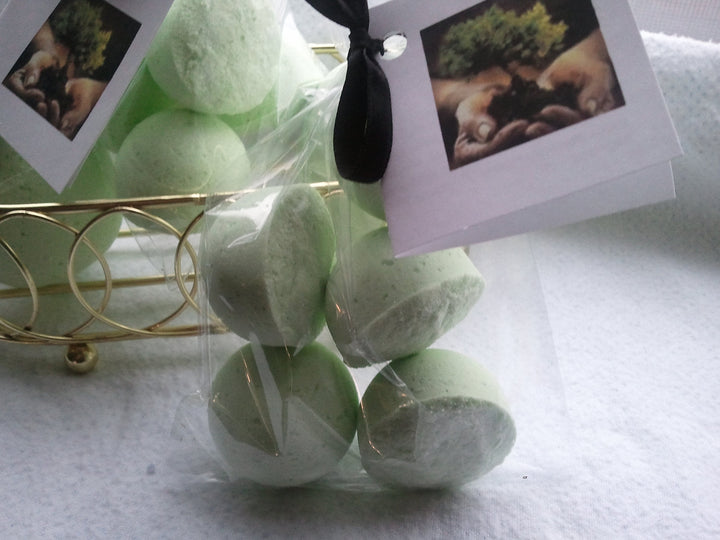 14 Bath Bombs in Bonsai Fragrance Gift Bag