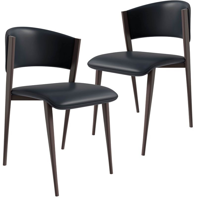 LeisureMod Aspen Collection Modern Dining Chair Set of 2 in Black
