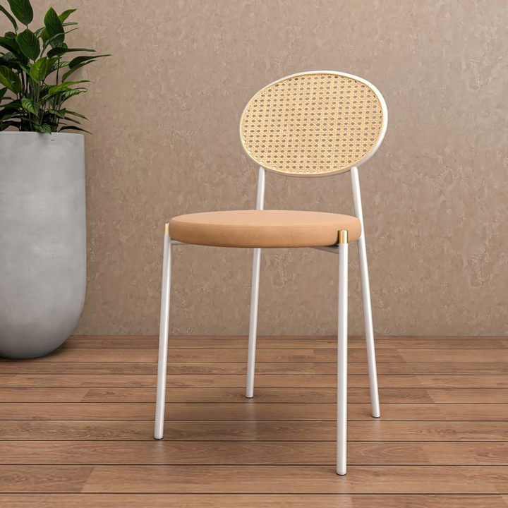 Chair with woven backrest and wooden seat on a wooden floor with a plant in the background.