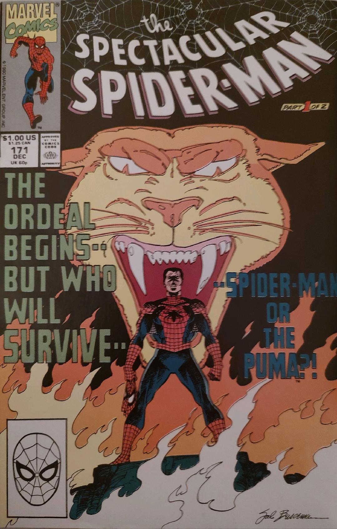 The Spectacular Spiderman #171 Comic Book Cover