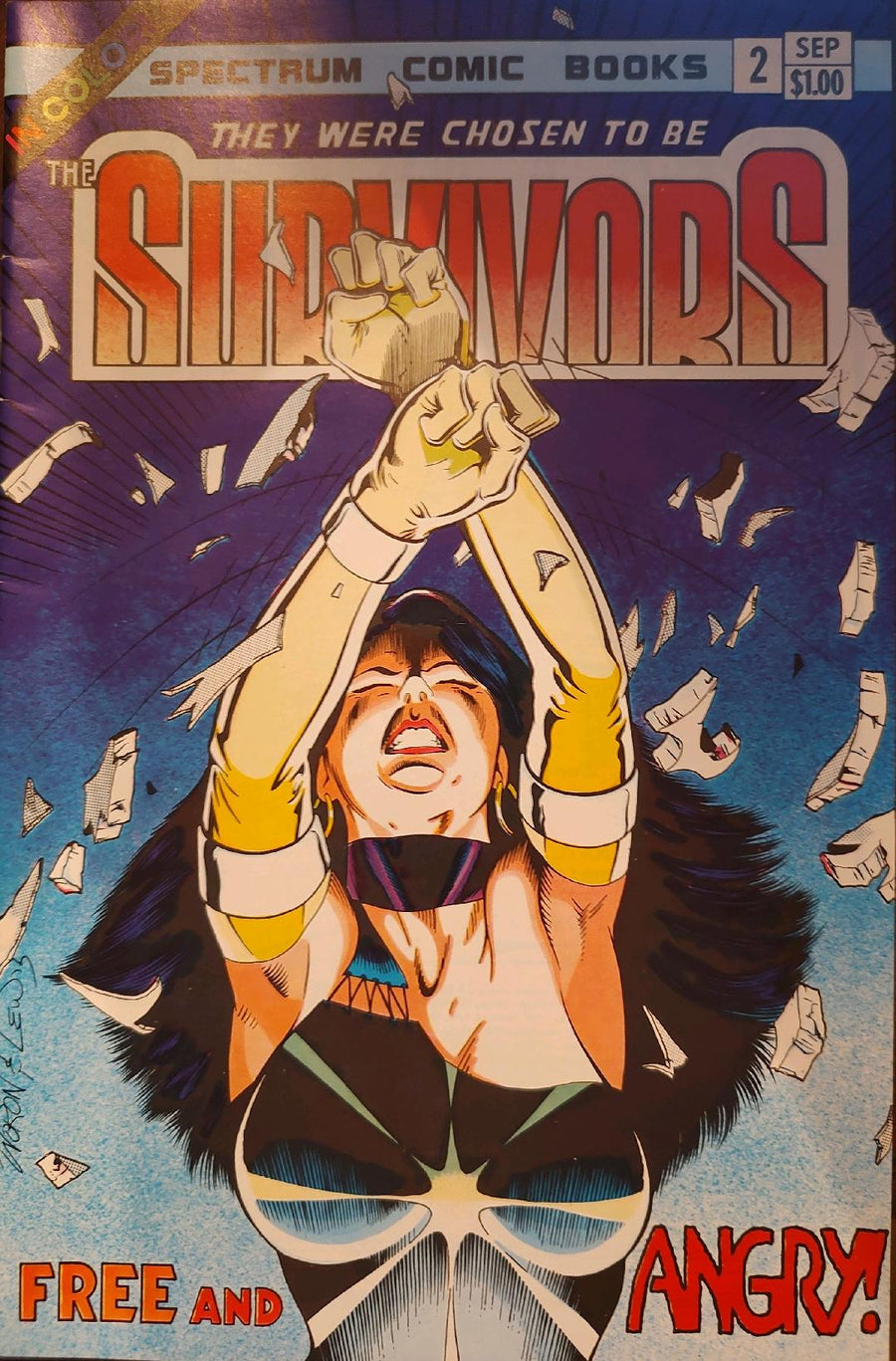 The Survivors #2 Comic Book Cover