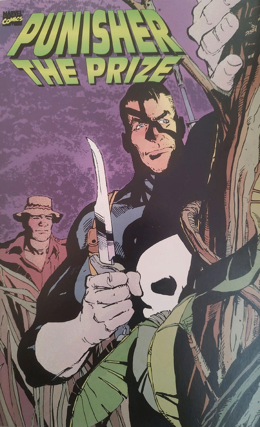 Punisher The Prize Comic Book Cover