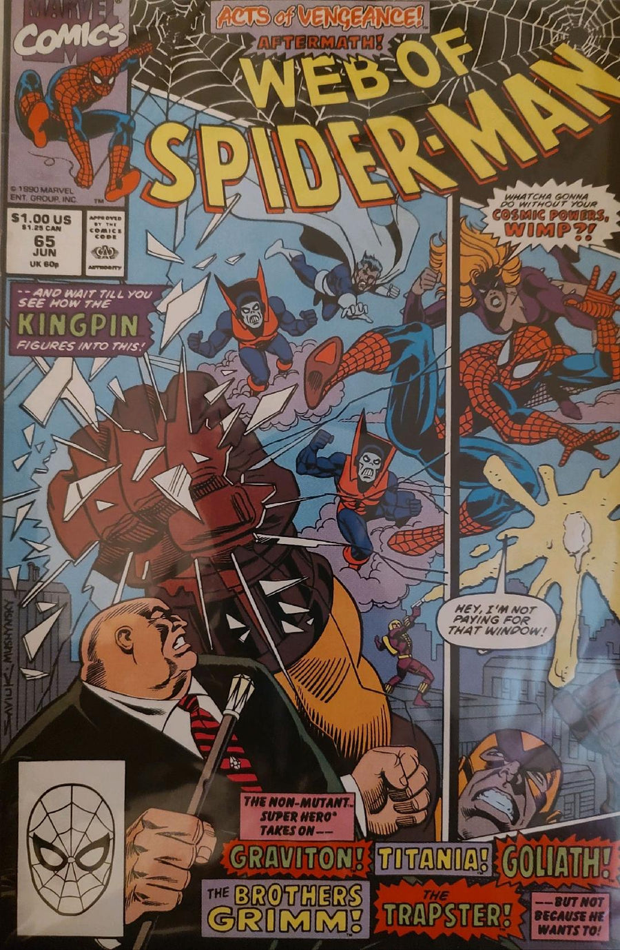 Web of Spiderman #65 Comic Book Cover