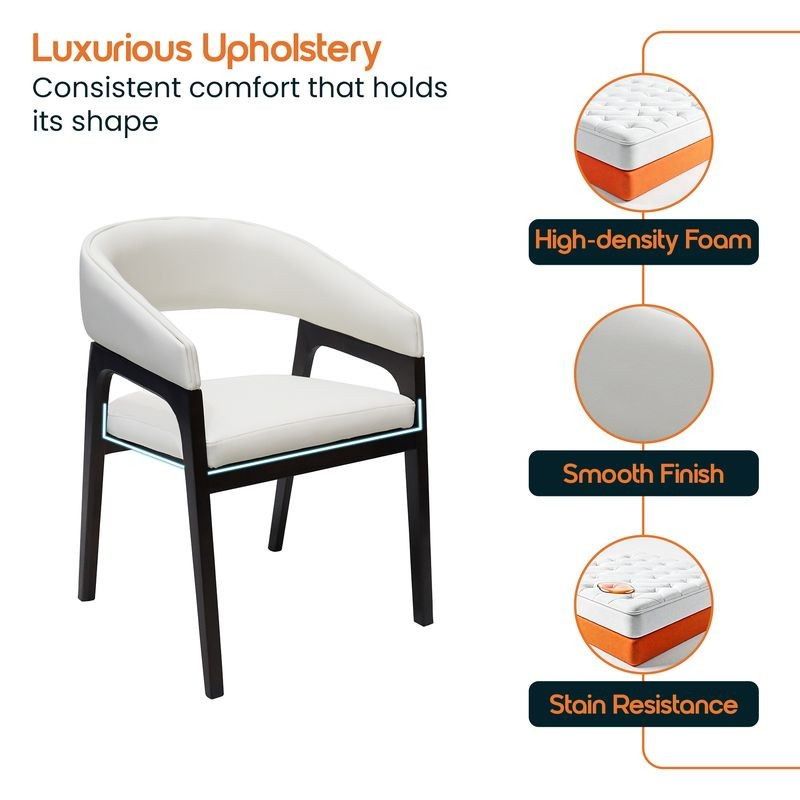 Chair with luxurious upholstery features highlighted on a white background.