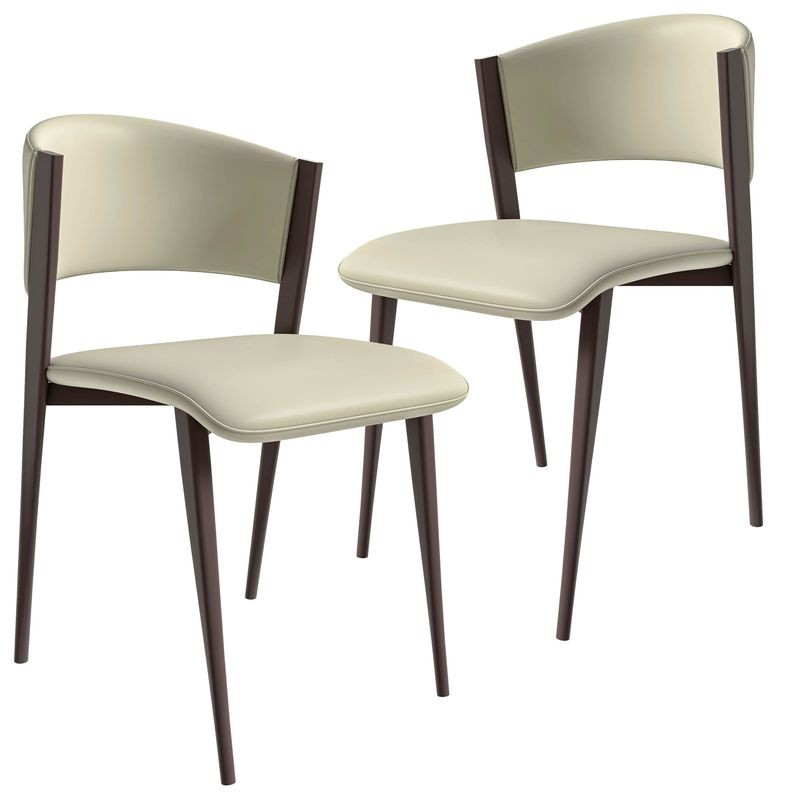 LeisureMod Aspen Collection Modern Dining Chair Set of 2 in Light Grey